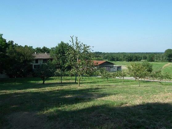 Agriturismo Cargandino Villa Mezzomerico Exterior photo